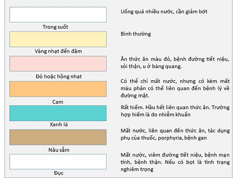 mau-sac-nuoc-tieu-tiet-lo-tinh-hinh-suc-khoe-cua-ban