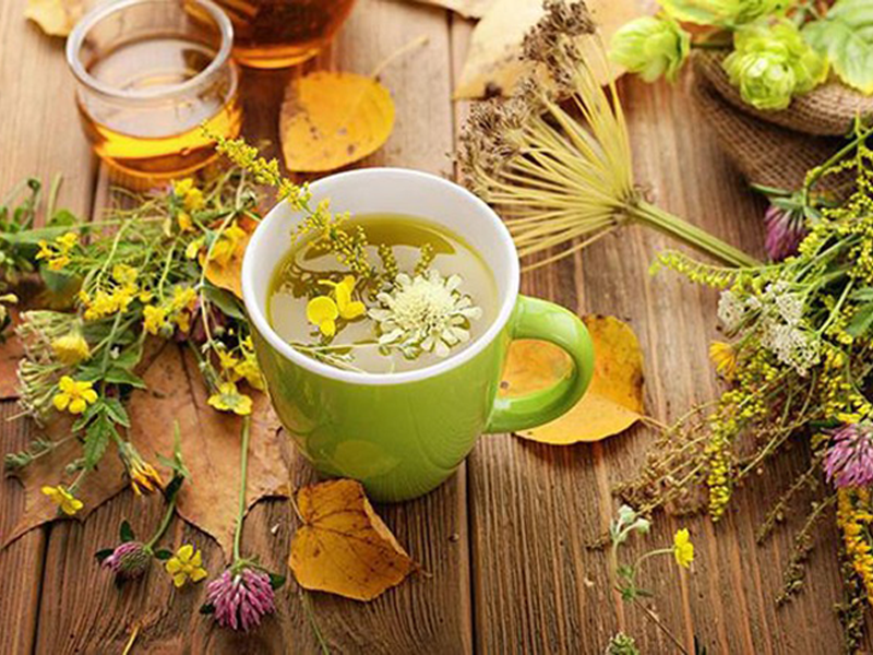 thao-duoc-tot-cho-nguoi-dau-da-day