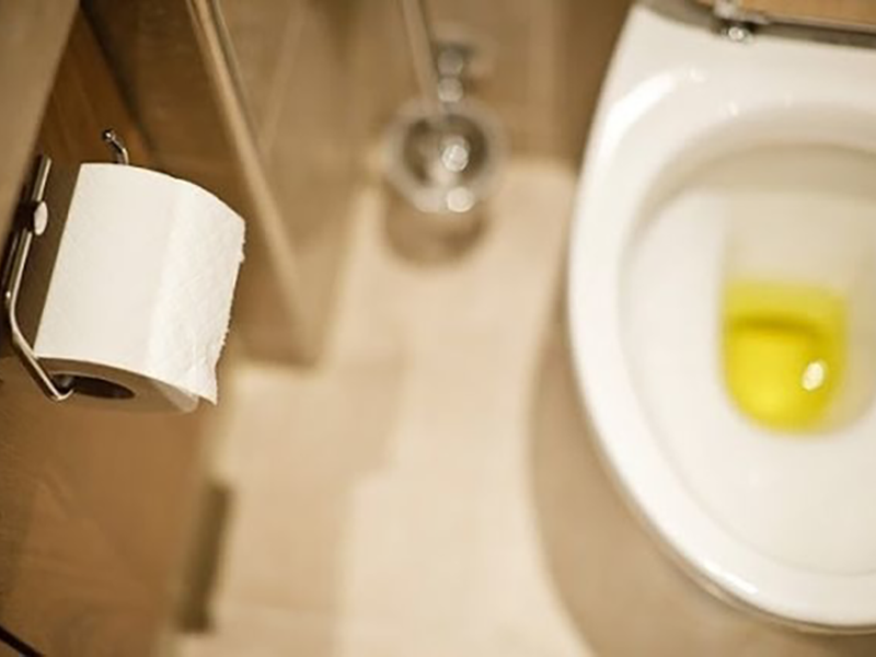 tren-co-the-co-4-bo-phan-boc-mui-canh-bao-than-suy-yeu